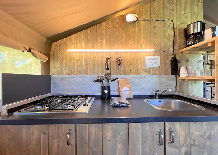 Holiday home De Hommel Hulshorst